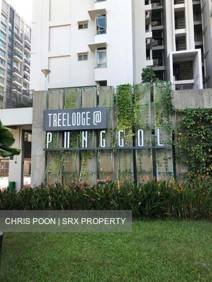 Punggol Road thumbnail photo